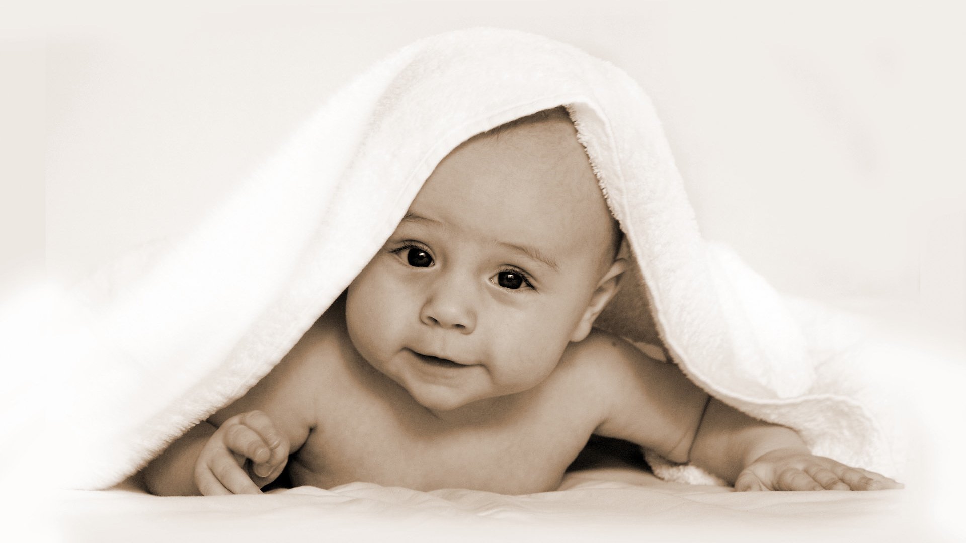 供卵助孕提高试管婴儿成功率